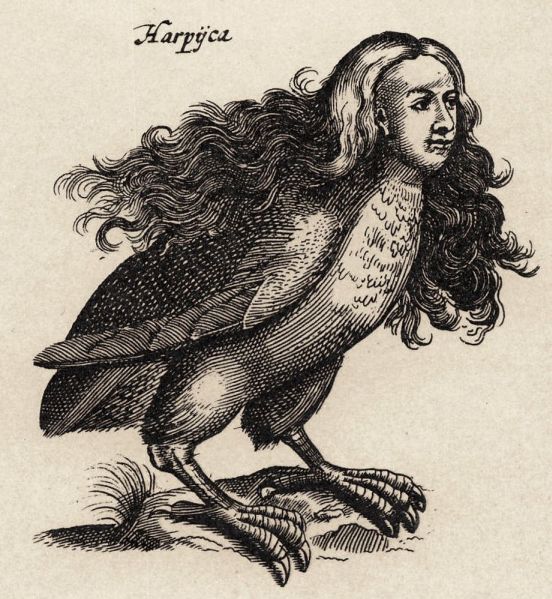 Harpij_-_I.I_Schipper_1660,_graveur_Matthius_Merian,_naar_J.Jonstons__Naekeurige_Beschryvingh_van_de_Natuur_