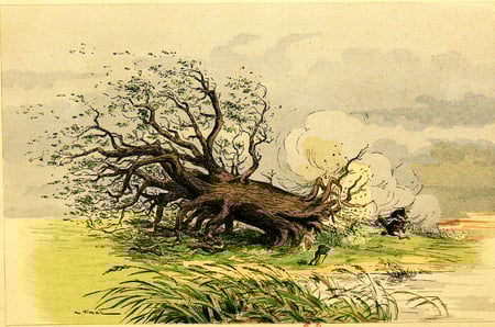 Vimar_-_Fables_de_La_Fontaine_-_01-21._Le_Chêne_et_le_Roseau